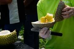 LKE 3rd Durian Festa